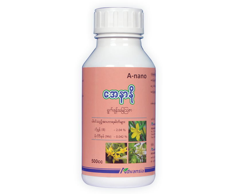 A-nano-Bottle.webp