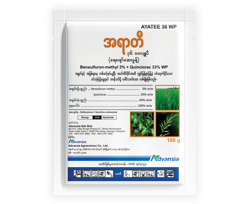 AYatee-Bottle-1.webp