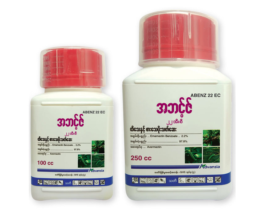 Abenz-Myanmar-Bottle.webp