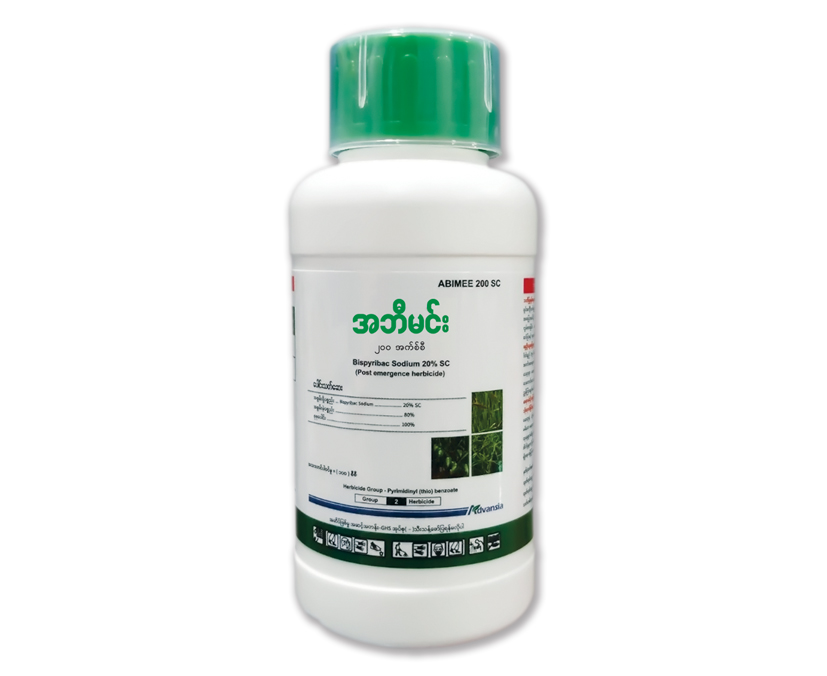 Abimee-Bottle.webp