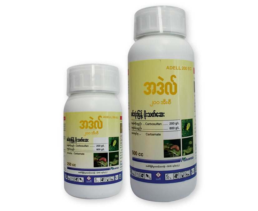 Adell-Myanmar-Bottle.webp
