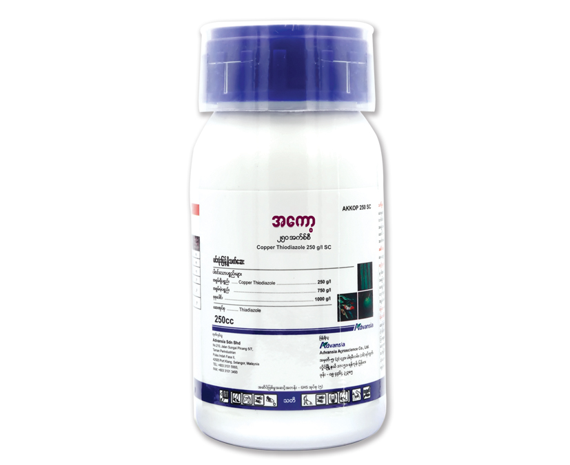 Akkop-Bottle.webp