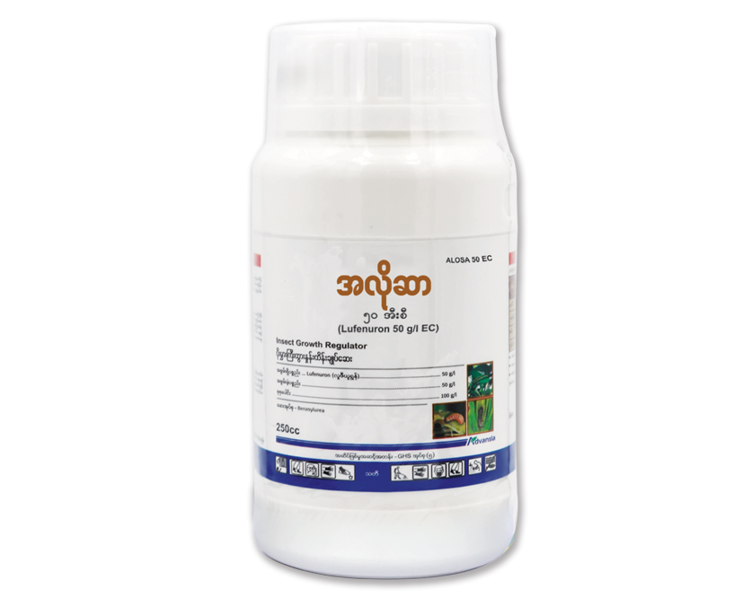 Alosa-Bottle.webp