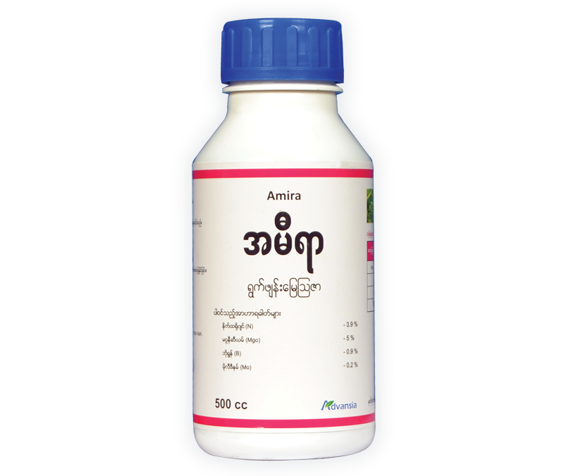 Amira-Bottle.webp