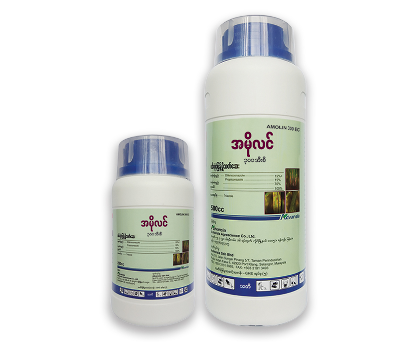 Amolin-Myanmar-Bottle1.webp