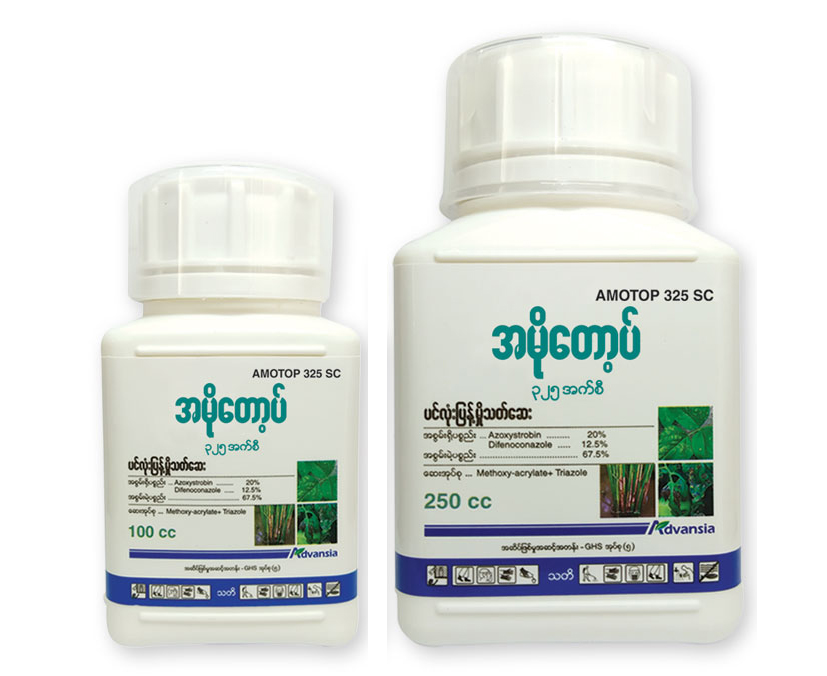Amotop-Myanmar-Bottle.webp