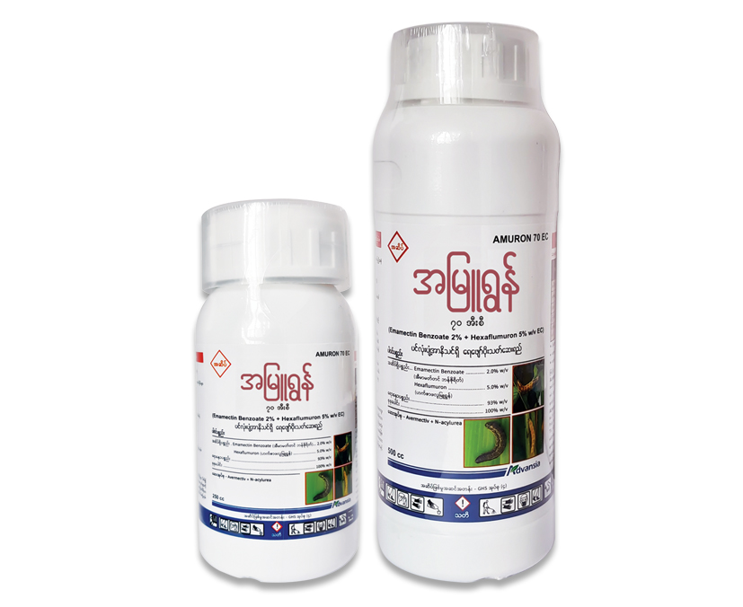 Amuron-Myanmar-Bottle.webp