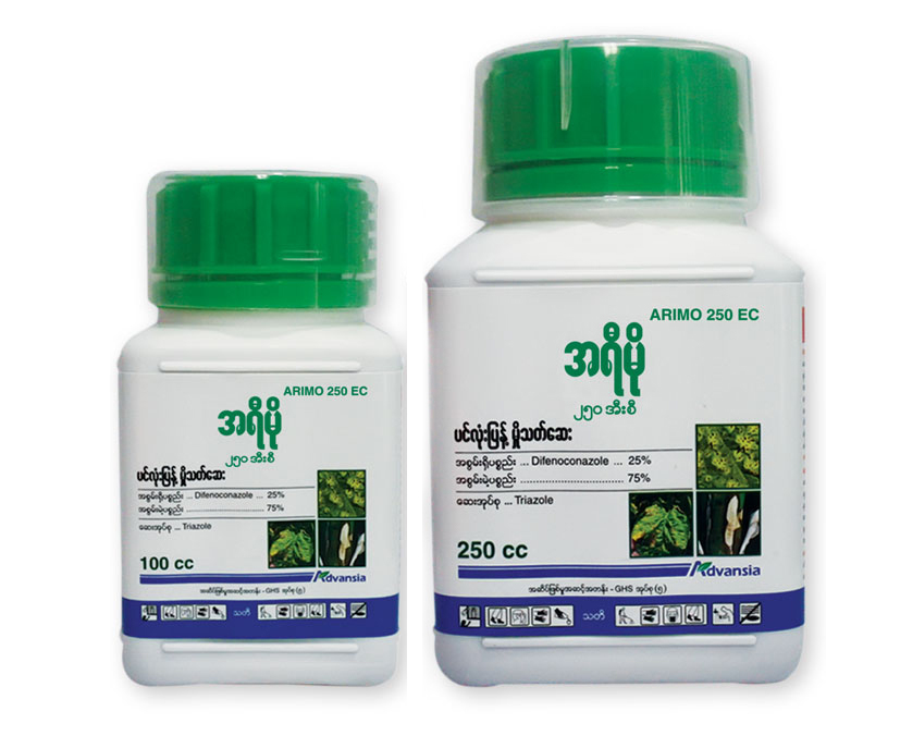 Arimo-Myanmar-Bottle.webp