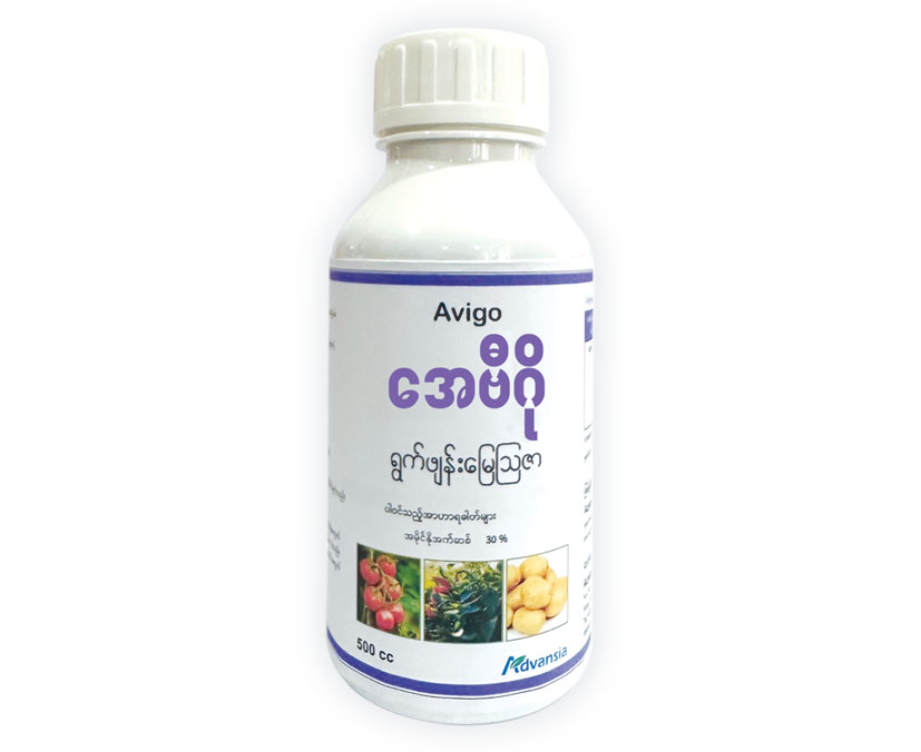 Avigo