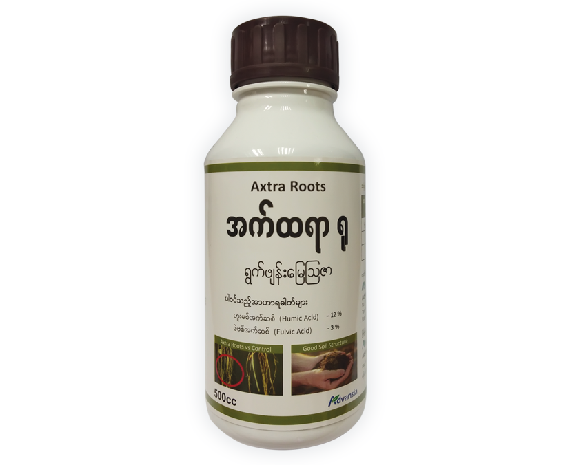 Axtra-Roots-Bottle.webp