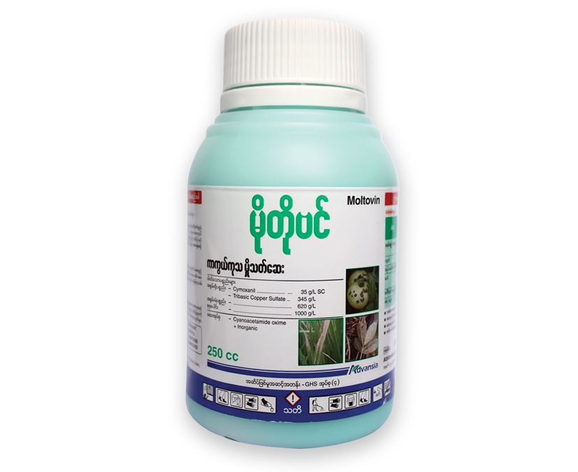 Motobin-Myanmar-Bottle.webp